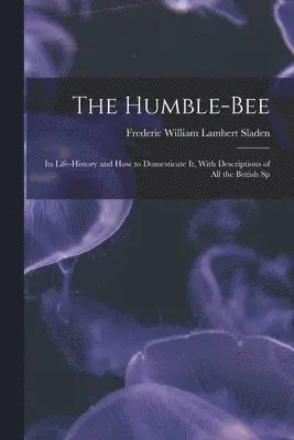 Humble-bee