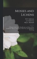 Mosses and Lichens