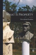 What is Property
