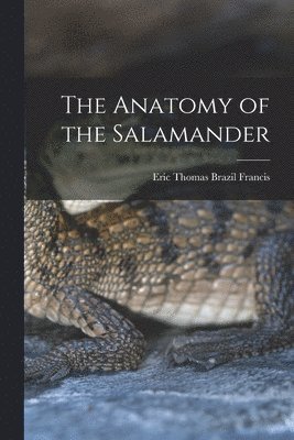 Anatomy of the Salamander