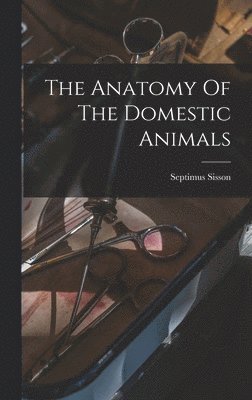 Septimus Sisson - Anatomy Of The Domestic Animals, Inbunden. Tillgänglighet: Lägg i varukorg