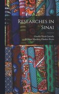 Researches in Sinai