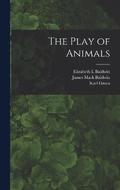 Play of Animals