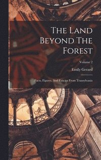 Land Beyond The Forest