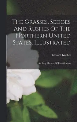 Edward Knobel - Grasses, Sedges And Rushes Of The Northern United States, Illustrated, Inbunden. Tillgänglighet: Lägg i varukorg