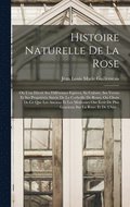 Histoire Naturelle De La Rose