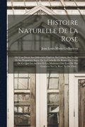 Histoire Naturelle De La Rose