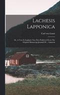 Lachesis Lapponica
