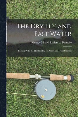 Dry Fly and Fast Water