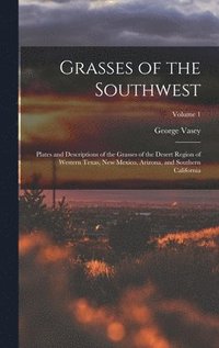 Grasses of the Southwest