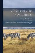 Canaries and Cage-birds