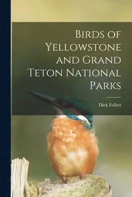 Birds of Yellowstone and Grand Teton National Parks