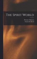 Spirit World