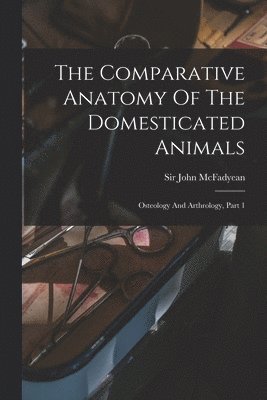 Comparative Anatomy Of The Domesticated Animals