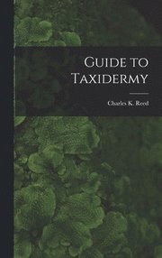 Guide to Taxidermy