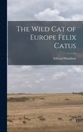 Wild Cat of Europe Felix Catus