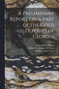 A Preliminary Report On a Part of the Gold Deposits of Georgia