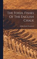 Fossil Fishes Of The English Chalk