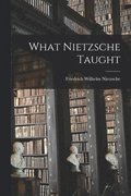 What Nietzsche Taught