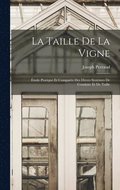 Taille De La Vigne
