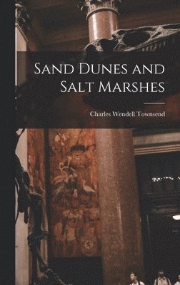 Charles Wendell Townsend - Sand Dunes and Salt Marshes, Inbunden