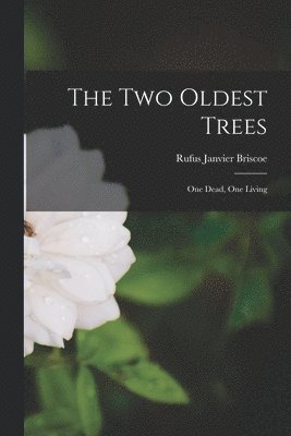 two Oldest Trees