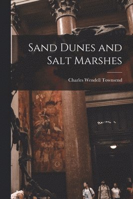 Charles Wendell Townsend - Sand Dunes and Salt Marshes, Häftad