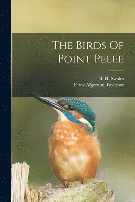 Birds Of Point Pelee