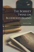Bobbsey Twins on Blueberry Island