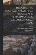 Bridging the Boundary--external Process and Performance in Organizational Teams
