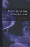 The Life of the Caterpillar