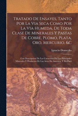 Ignacio Domeyko - Tratado De Ensayes, Tanto Por La Via Seca Como Por La Via Humeda, De Toda Clase De Minerales Y Pastas De Cobre, Plomo, Plata, Oro, Mercurio, &c, Häftad