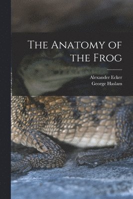 Alexander Ecker, George Haslam - Anatomy of the Frog, Häftad. Tillgänglighet: Lägg i varukorg