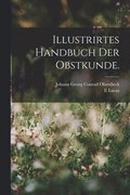 Illustrirtes Handbuch der Obstkunde.