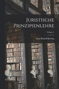 Juristische Prinzipienlehre; Volume 1