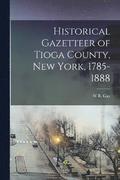 Historical Gazetteer of Tioga County, New York, 1785-1888