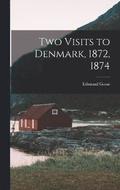 Two Visits to Denmark, 1872, 1874