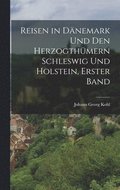 Reisen in Dnemark Und Den Herzogthmern Schleswig Und Holstein, Erster Band