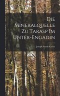 Mineralquelle zu Tarasp im Unter-Engadin