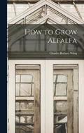 How to Grow Alfalfa