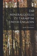 Mineralquelle zu Tarasp im Unter-Engadin