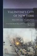 Valentine's City of New York; a Guide Book, With six Maps and one Hundred and Sixty Full Page Pictures