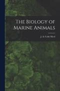 Biology of Marine Animals