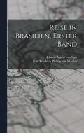 Reise in Brasilien, erster Band