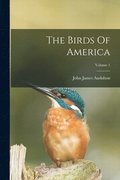 Birds Of America; Volume 1