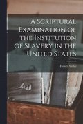 A Scriptural Examination of the Institution of Slavery in the United States