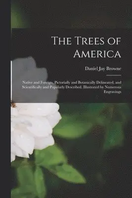 Daniel Jay Browne - Trees of America, Häftad. Tillgänglighet: Lägg i varukorg
