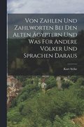 Von Zahlen und Zahlworten bei den alten gyptern und was fr andere Vlker und Sprachen daraus