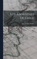 Aboríjenes De Chile