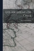 Aboríjenes De Chile